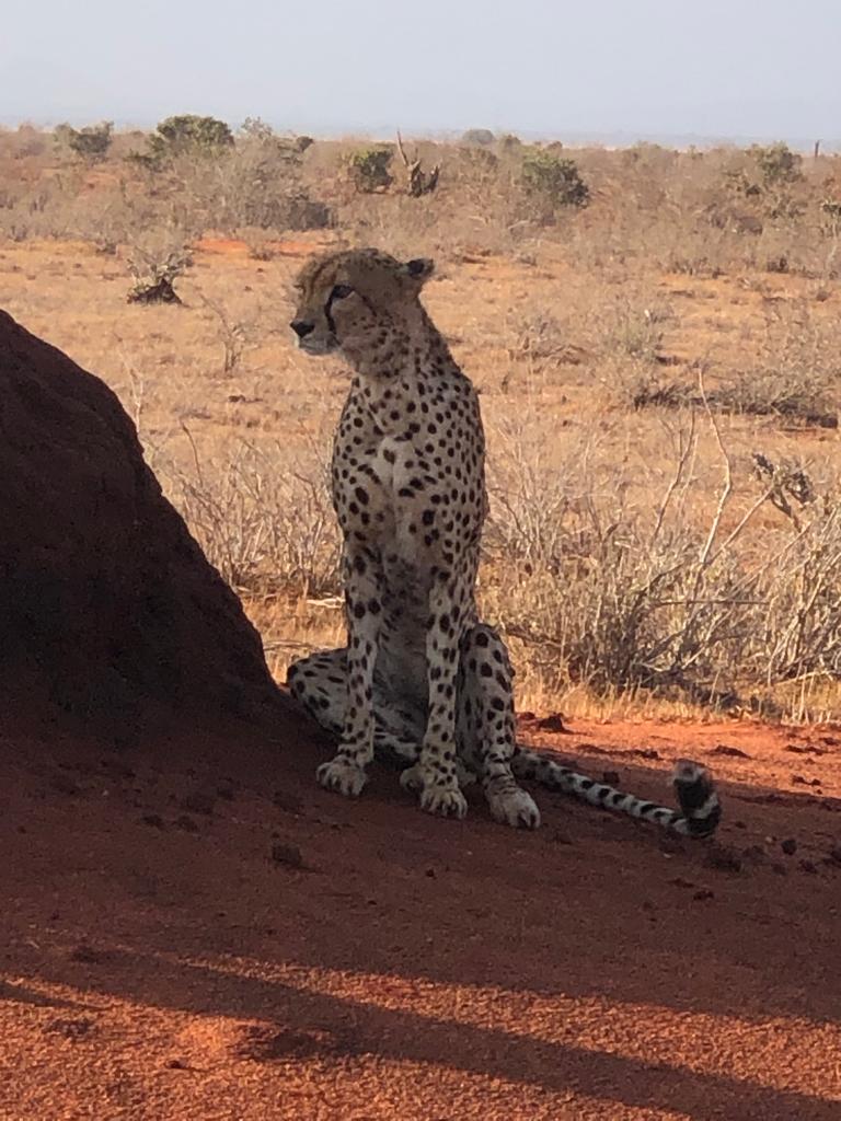 Tanzania - Serengeti & Ngorongoro
